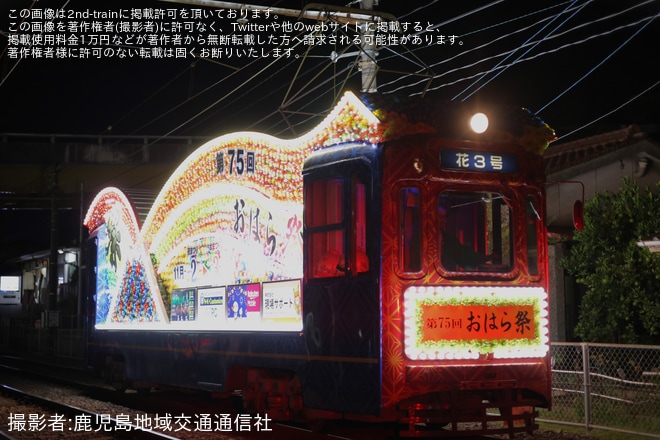 【鹿市交】花電車「花3号」がおはら祭に合わせて運行開始 - 南鹿児島駅前～涙橋間にて撮影