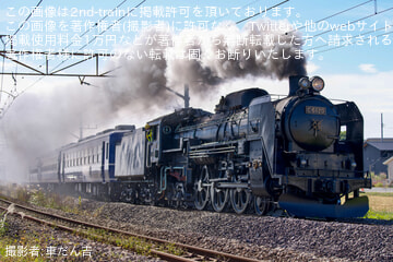 【JR東】C61-20が高崎~渋川間で検査出場後の試運転