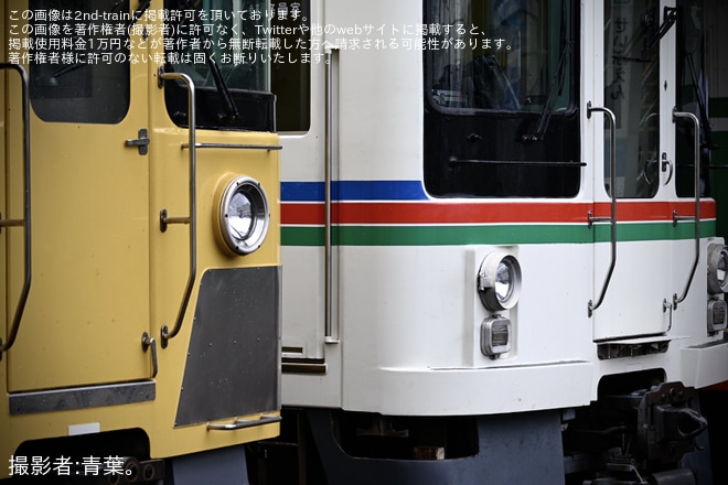 【西武】4000系4011Fが「西武鉄道わんわんトレイン」で運転、新2000系との並びも（3枚目）