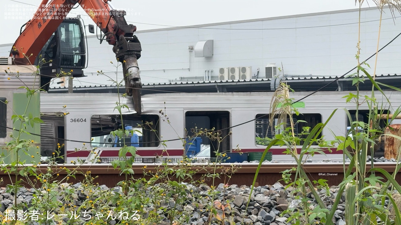 【東武】30000系31604Fの解体が進行 36604号車が解体、31404Fは解体完了の拡大写真